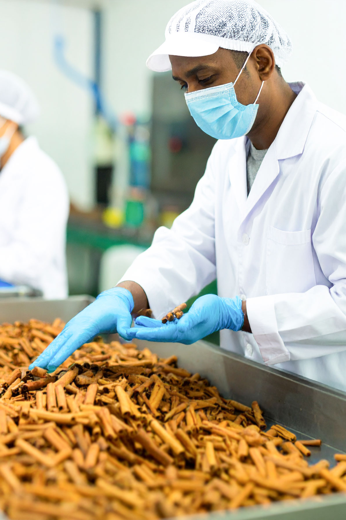 spice blend Mekong rub